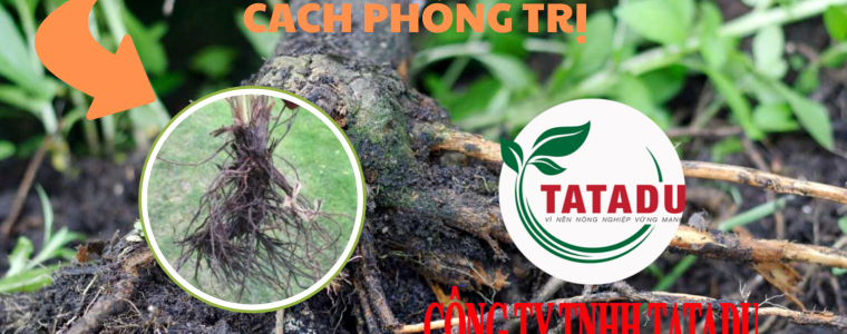 BENH THOI RE DEN LA GI NHAN BIET NGUYEN NHAN VA CACH PHONG TRI