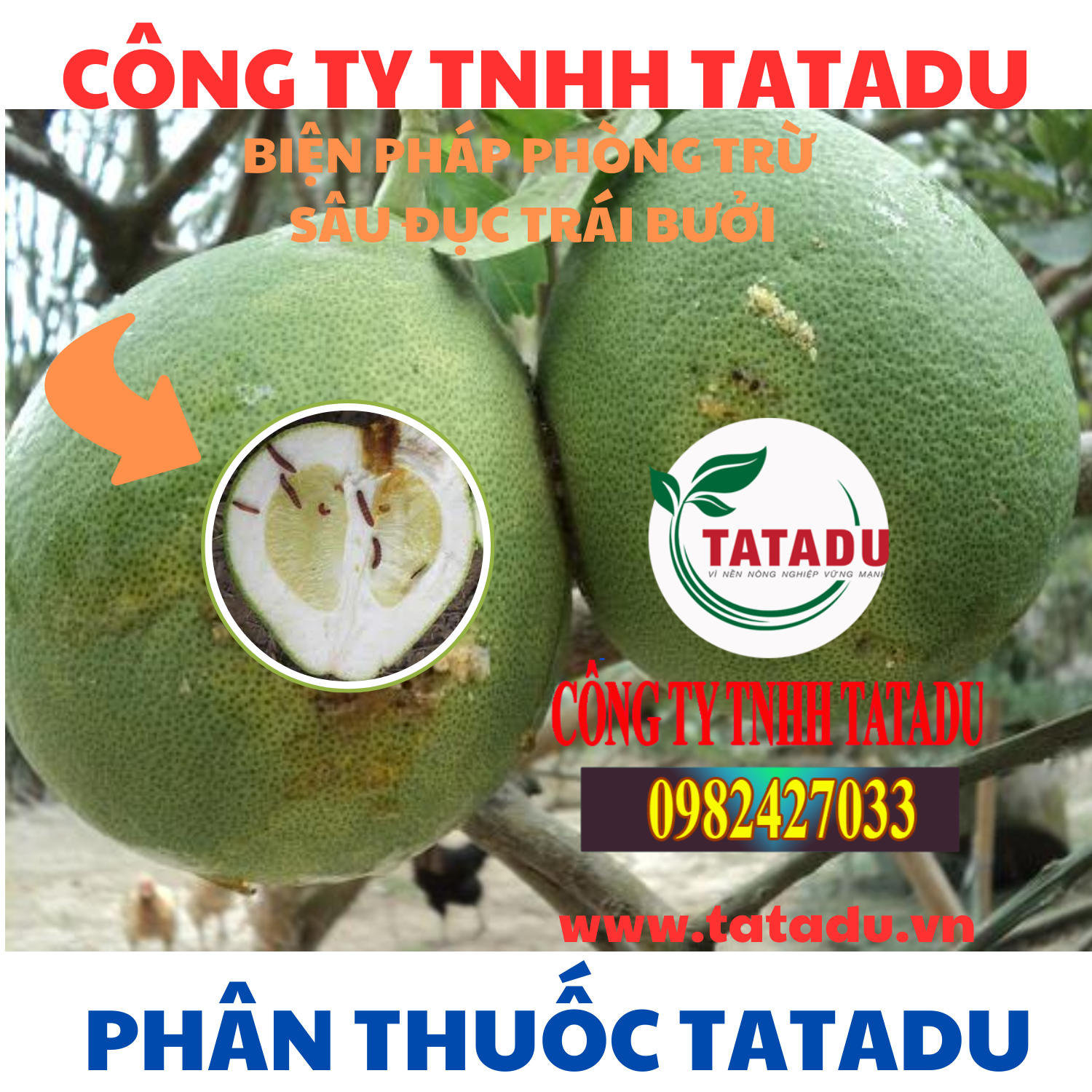 BIEN PHAP PHONG TRU SAU DUC TRAI BUOI