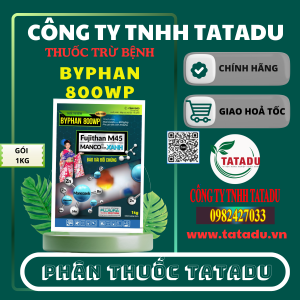 BYPHAN 800WP GOI 1KG