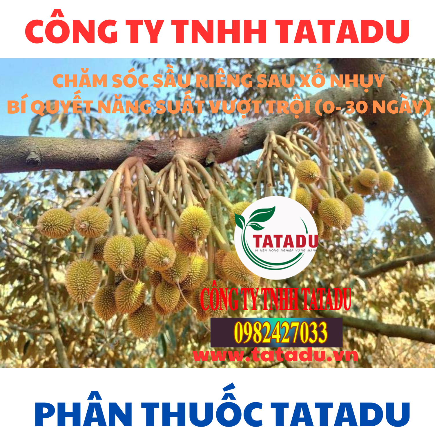 CHAM SOC SAU RIENG SAU XO NHUY 0 30 NGAY