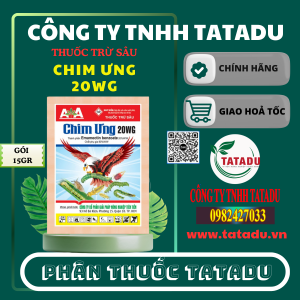 CHIM UNG 20WG GOI 15GR AA