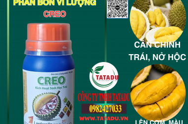 CREO – SẢN PHẨM CHUYÊN CHỈNH TRÁI, NỞ HỘC, LÊN CƠM, MÀU VÀNG ĐẸP