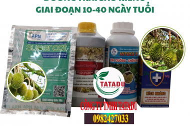 BỘ SẢN PHẨM DƯỠNG TRÁI NON, CHỐNG RỤNG TRÁI, CUNG CẤP DINH DƯỠNG CHO SẦU RIÊNG GIAI ĐOẠN 10-40 NGÀY TUỔI