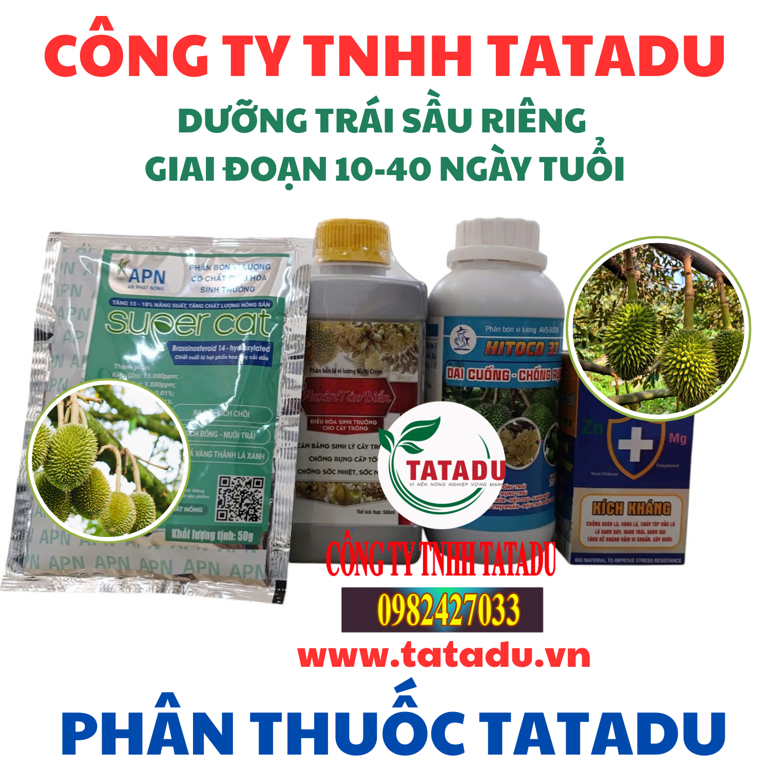 DUONG TRAI SAU RIENG GIAI DOAN 10 40 NGAY TUOI