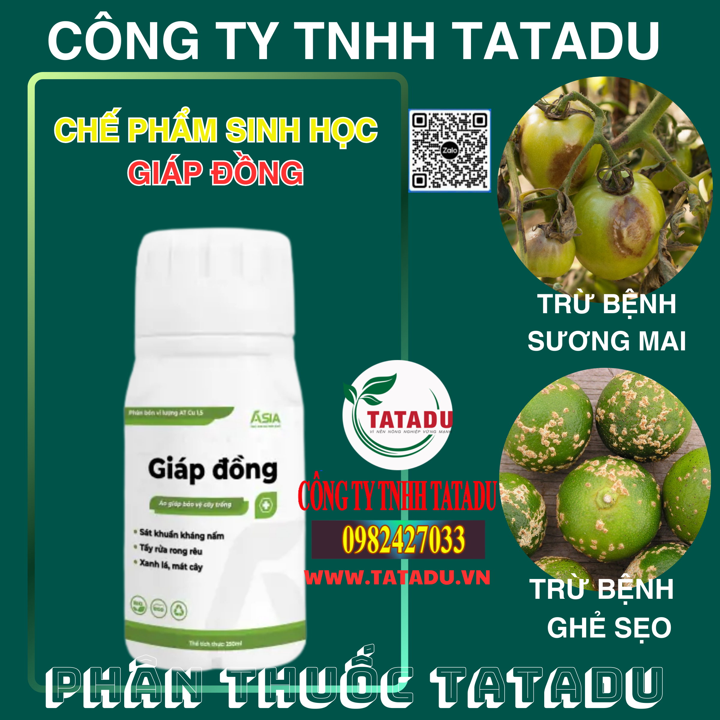 GIAP DONG ASIA TRU BENH SUONG MAI GHE SEO GIAP DONG ASIA TRU BENH SUONG MAI GHE SEO