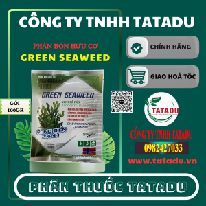 GREEN SEAWEED