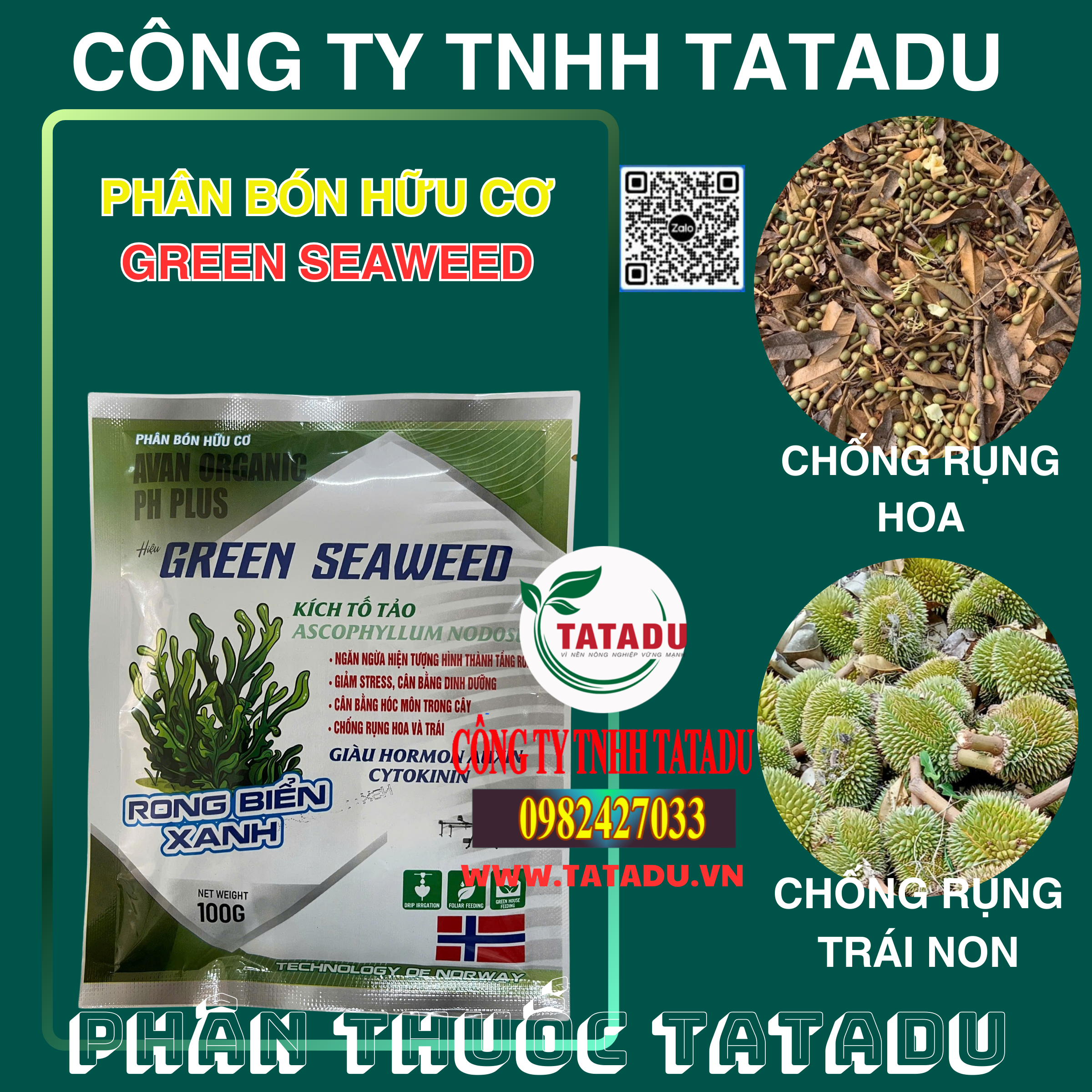GREEN SEAWEED CHONG RUNG HOA VA TRAI NON GREEN SEAWEED CHONG RUNG HOA VA TRAI NON