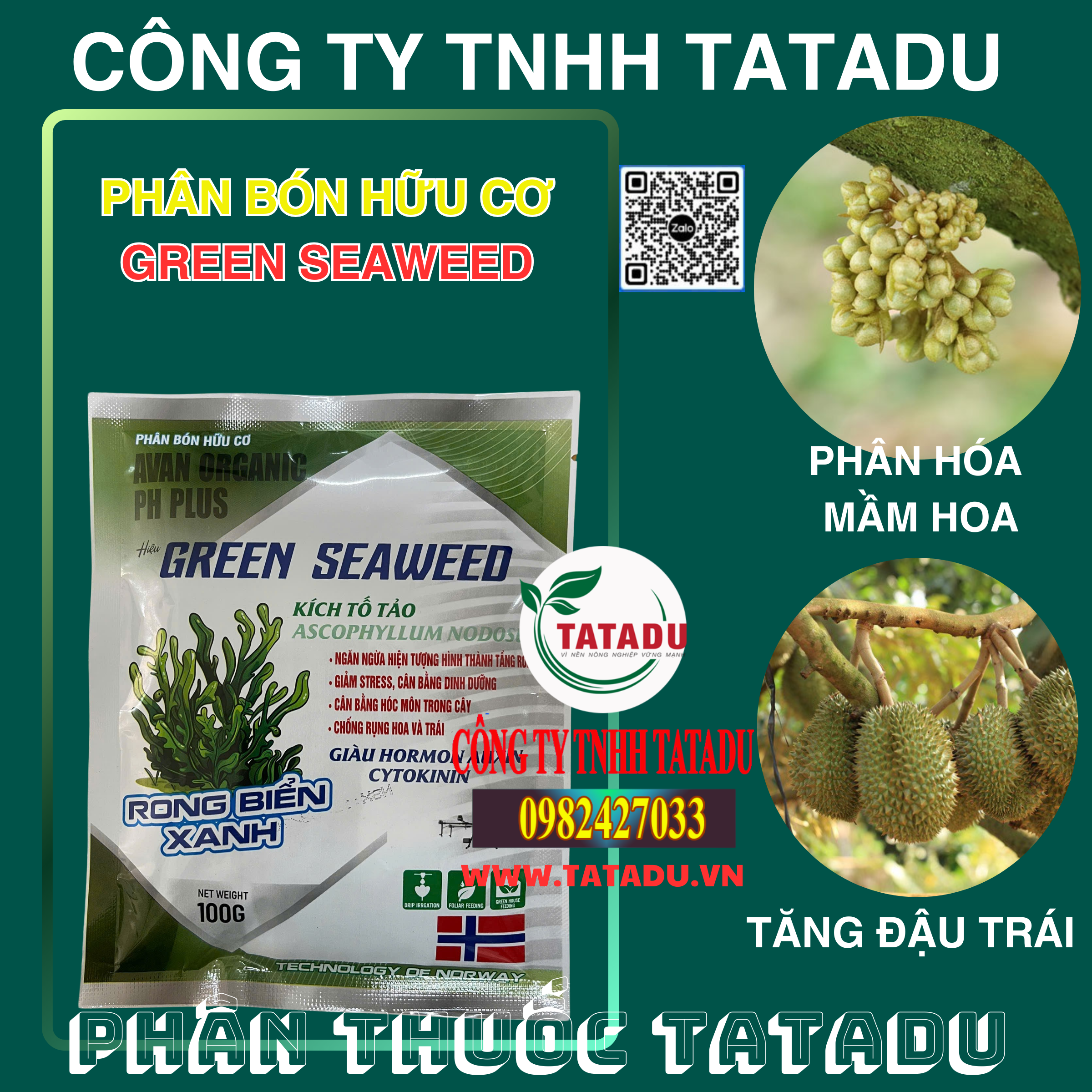 GREEN SEAWEED PHAN HOA MAM HOA TANG DAU TRAI GREEN SEAWEED PHAN HOA MAM HOA TANG DAU TRAI