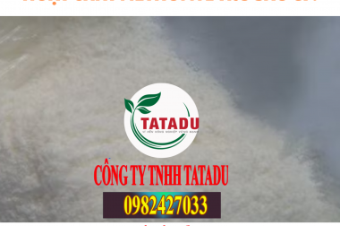 HOẠT CHẤT METHOMYL TRỪ SÂU GÌ ?