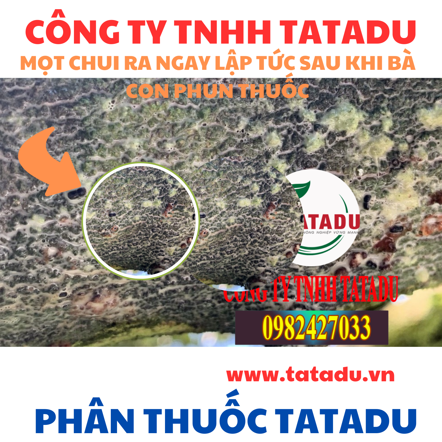 MOT CHUI RA NGAY LAP TUC SAU KHI BA CON PHUN THUOC
