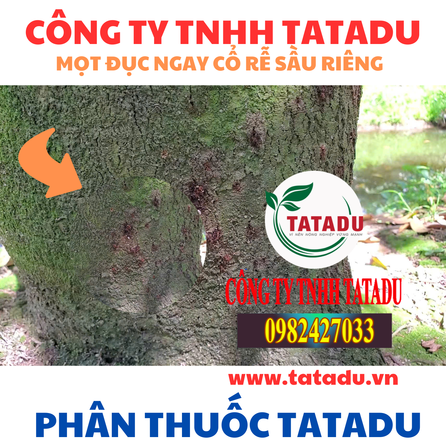 MOT DUC NGAY CO RE SAU RIENG