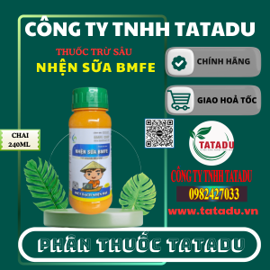 NHEN SUA BMFE