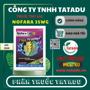 NOFARA 35WG GOI 35GR