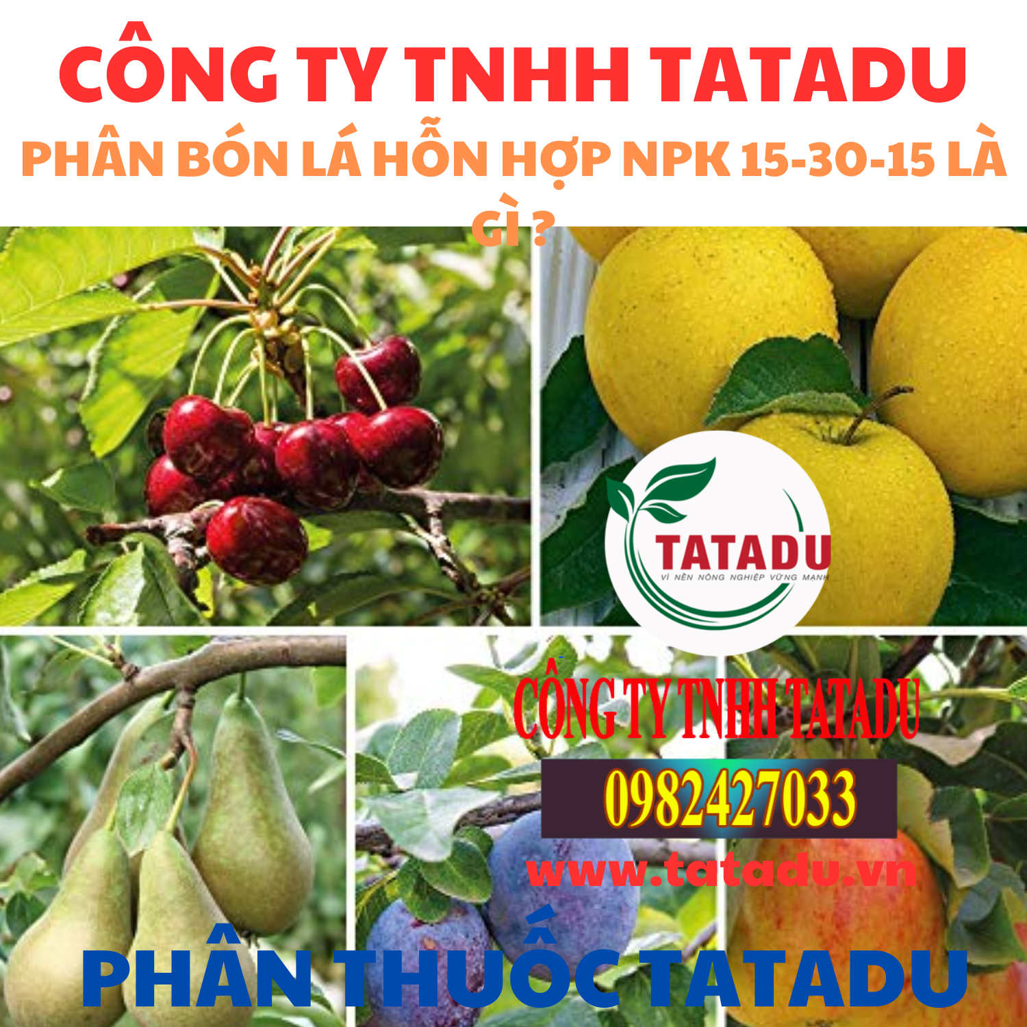 PHAN BON LA HON HOP NPK 15 30 15 LA GI