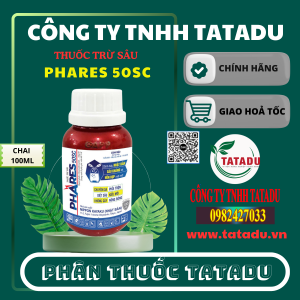 PHARES 50SC