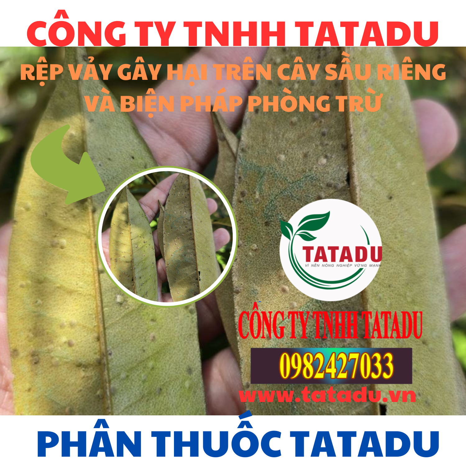 REP VAY GAY HAI TREN CAY SAU RIENG VA BIEN PHAP PHONG TRU