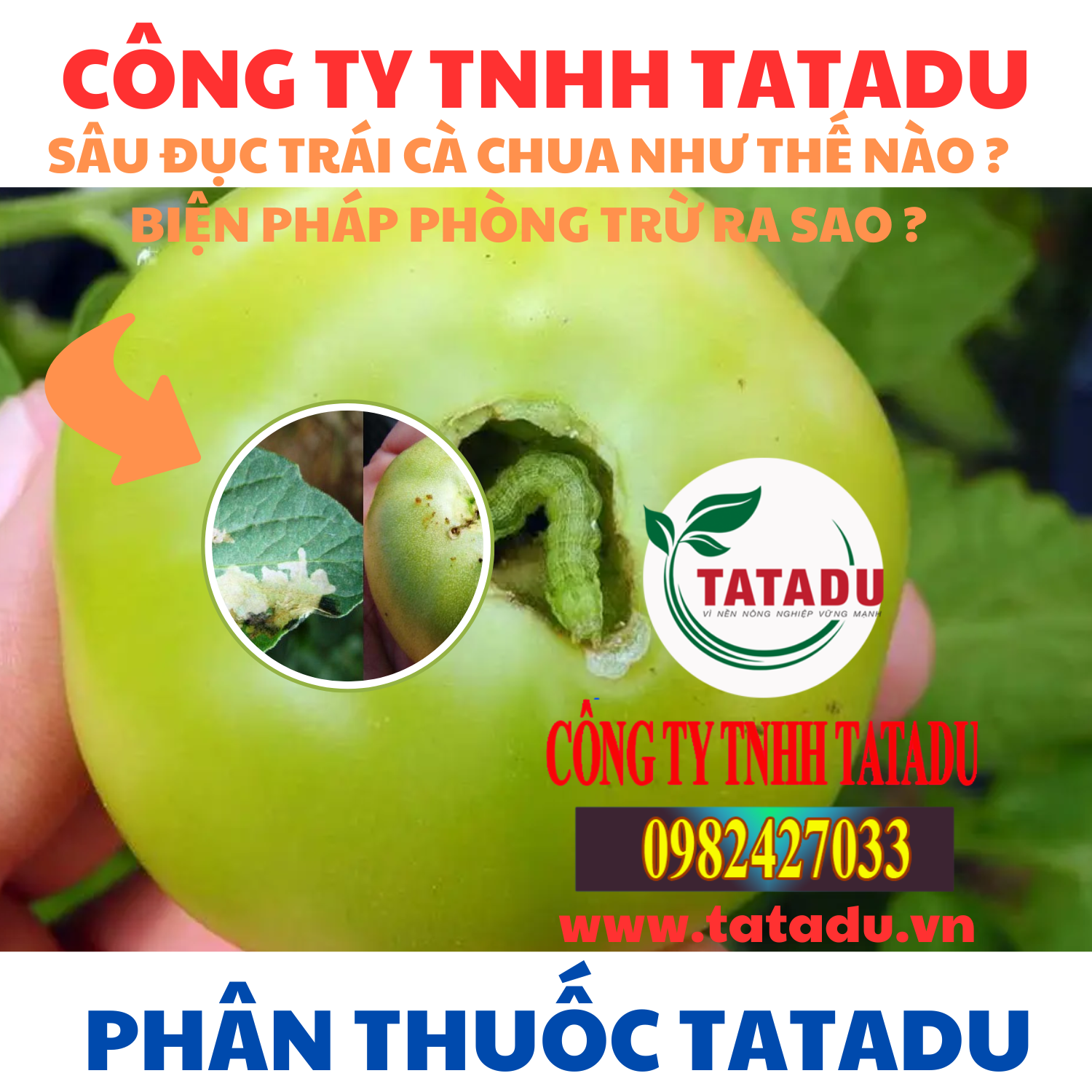 SAU DUC TRAI CA CHUA NHU THE NAO BIEN PHAP PHONG TRU RA SAO
