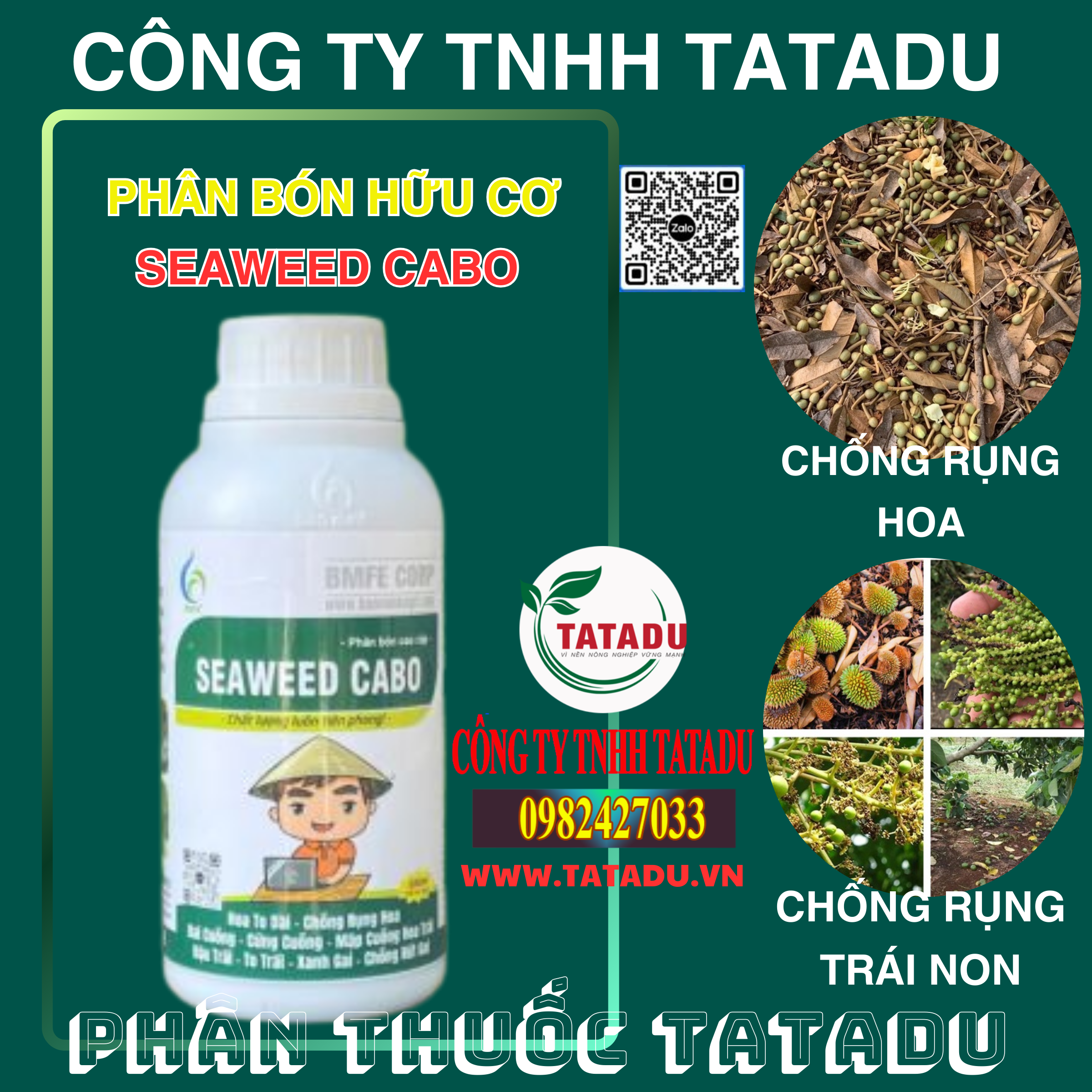 SEAWEED CABO CHONG RUNG HOA RUNG TRAI NON SEAWEED CABO CHONG RUNG HOA RUNG TRAI NON