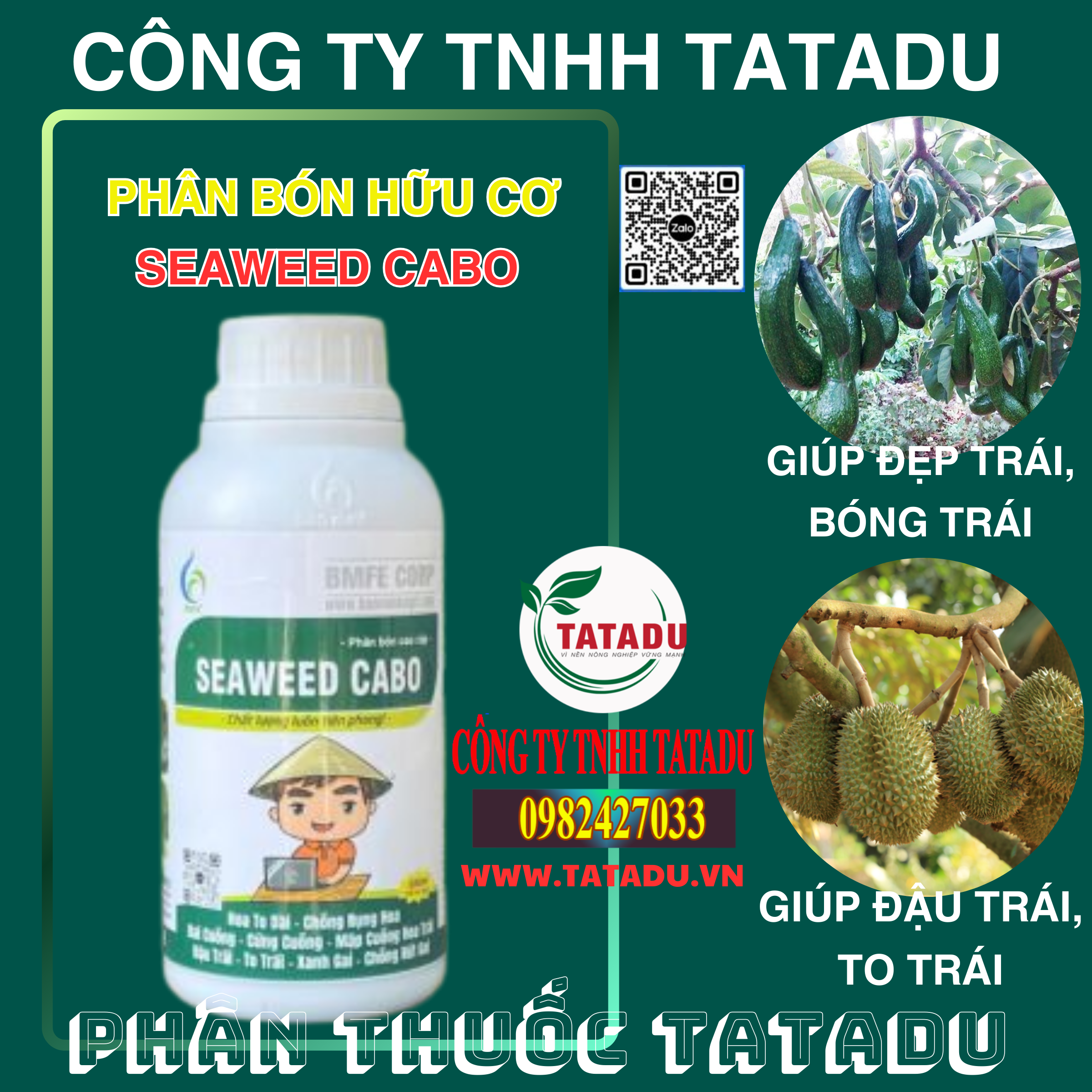 SEAWEED CABO GIUP DAU TRAI DEP TRAI BONG TRAI TO TRAI SEAWEED CABO GIUP DAU TRAI DEP TRAI BONG TRAI TO TRAI