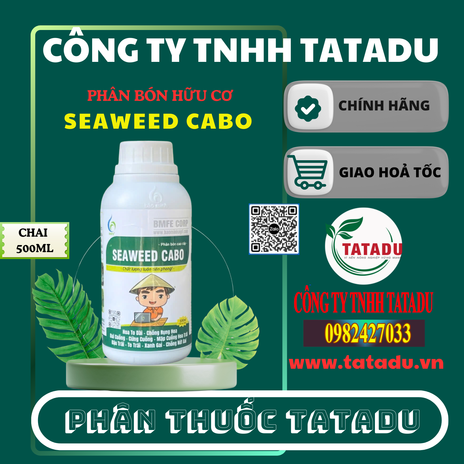 SEAWEED CABO SEAWEED CABO