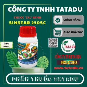 SINSTAR 250SC