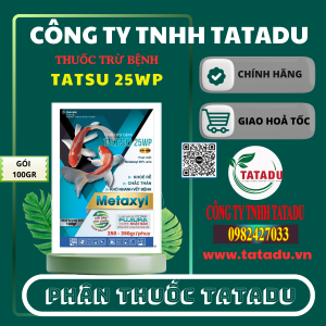 TATSU 25WP GOI 100GR