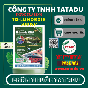 TD LUMORDIE 500WP GOI 100GR