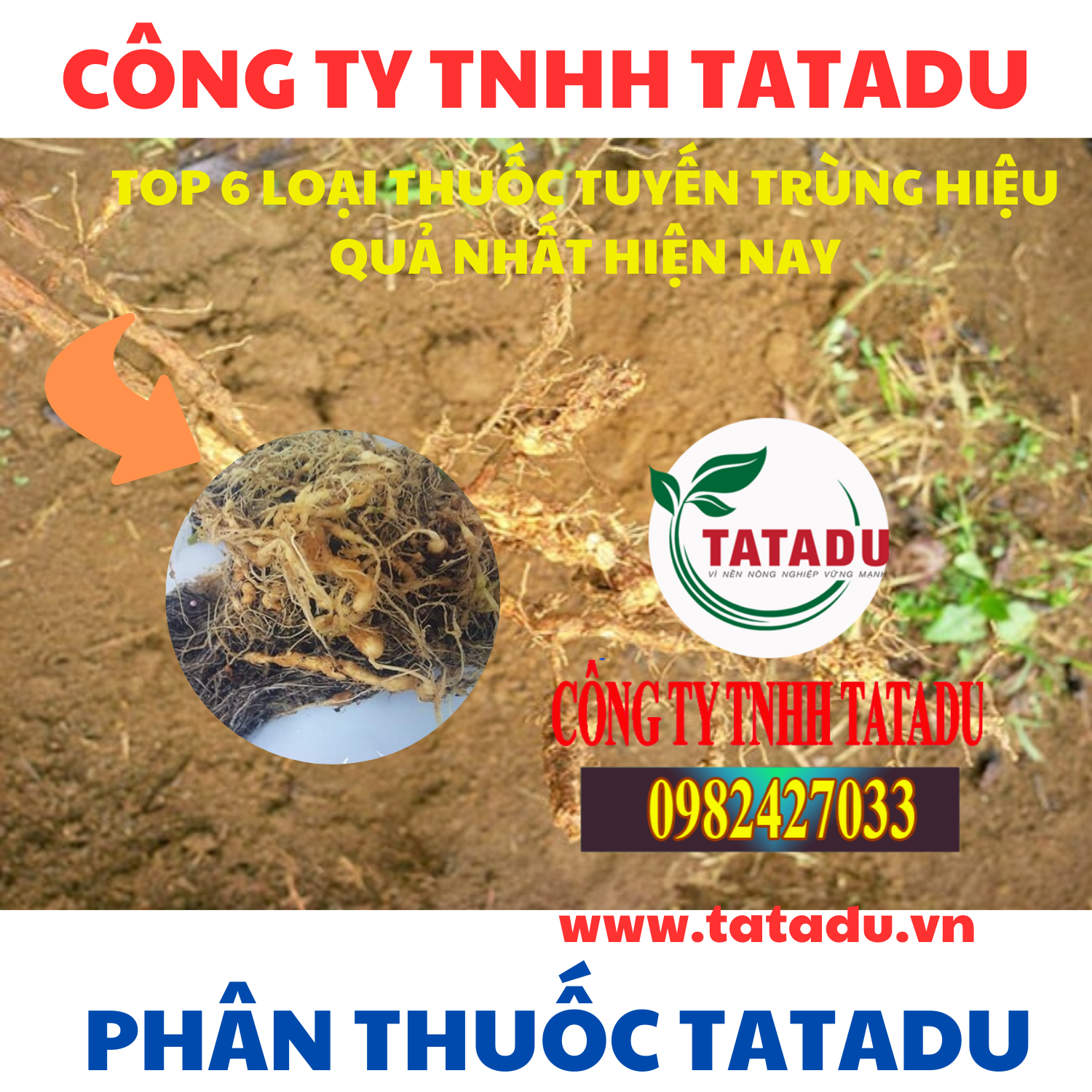 TOP 6 LOAI THUOC TUYEN TRUNG HIEU QUA NHAT HIEN NAY