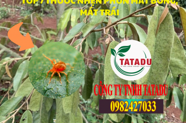 TOP 7 THUỐC NHỆN PHUN MÁT BÔNG, MÁT TRÁI