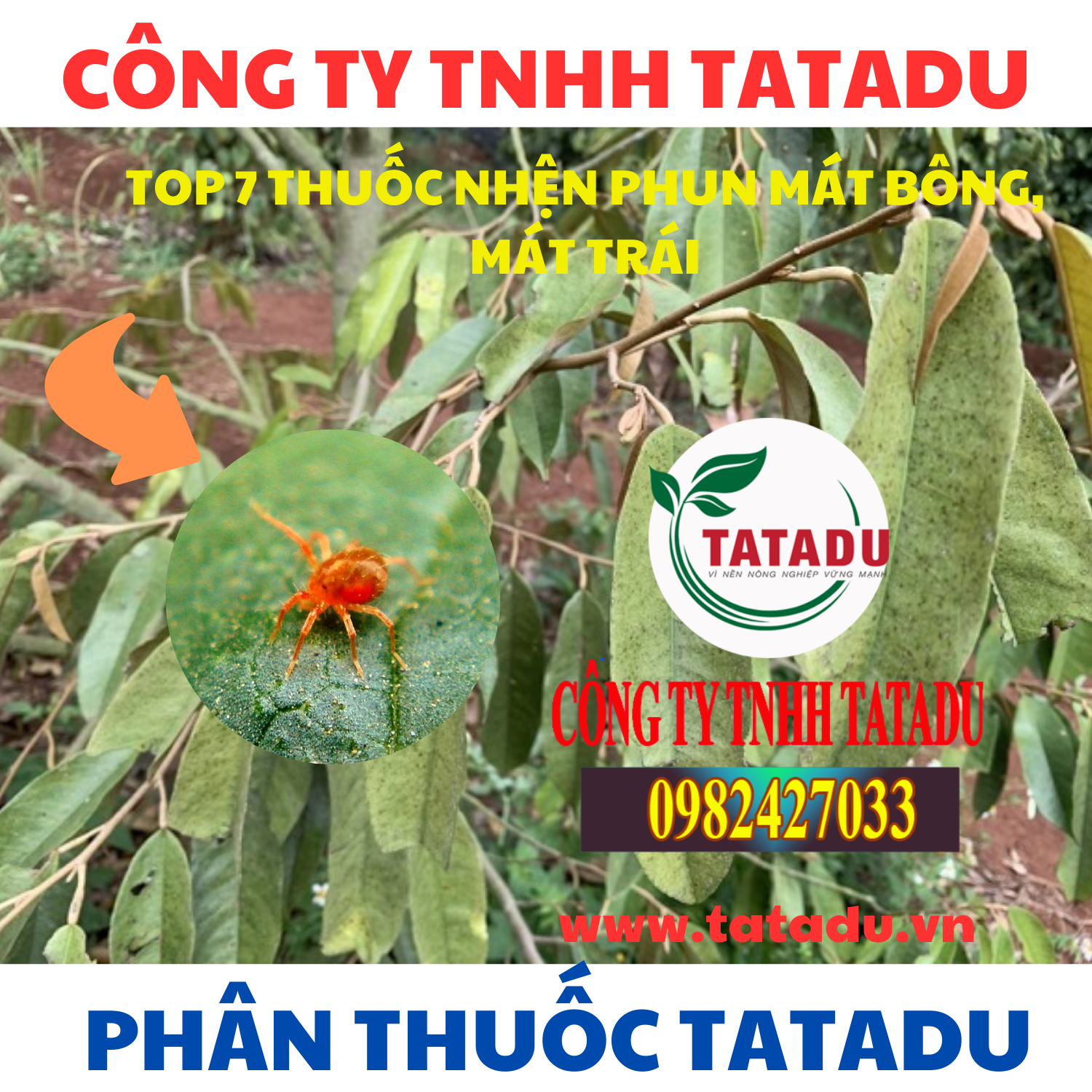 TOP 7 THUOC NHEN PHUN MAT BONG MAT TRAI