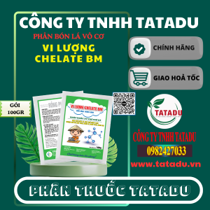 VI LUONG CHELATE BM