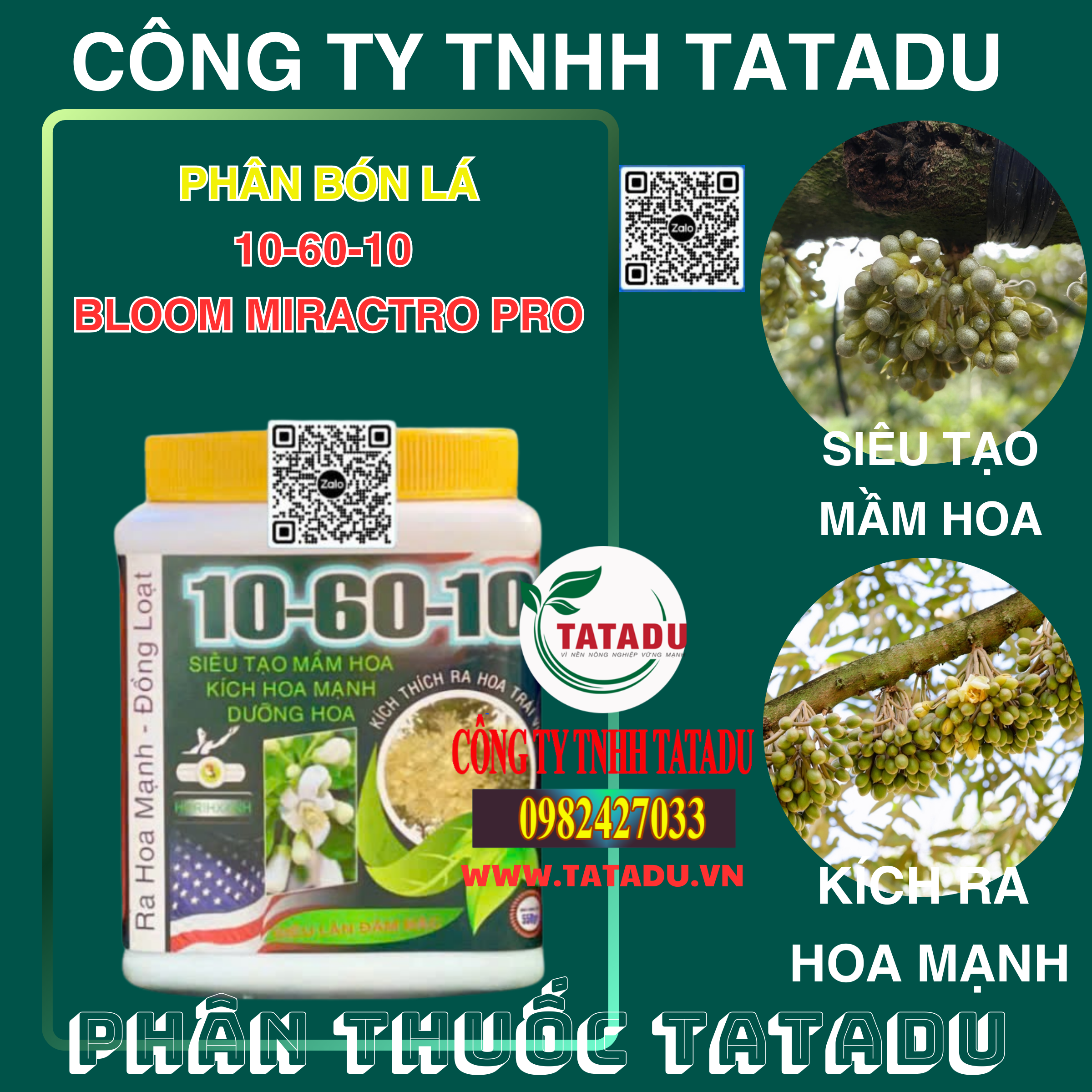 10 60 10 BLOOM MIRACTRO PRO SIEU TAO MAM HOA KICH RA HOA MANH 10 60 10 BLOOM MIRACTRO PRO SIEU TAO MAM HOA KICH RA HOA MANH
