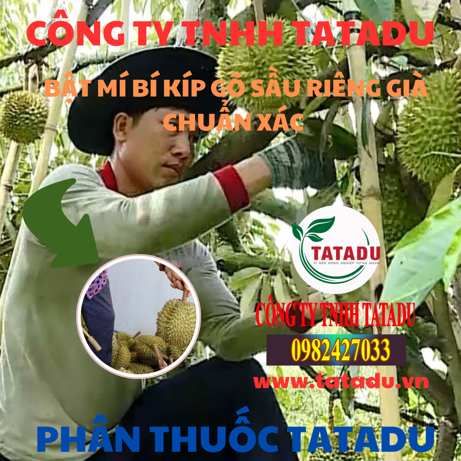 BAT MI BI KIP GO SAU RIENG GIA CHUAN XAC
