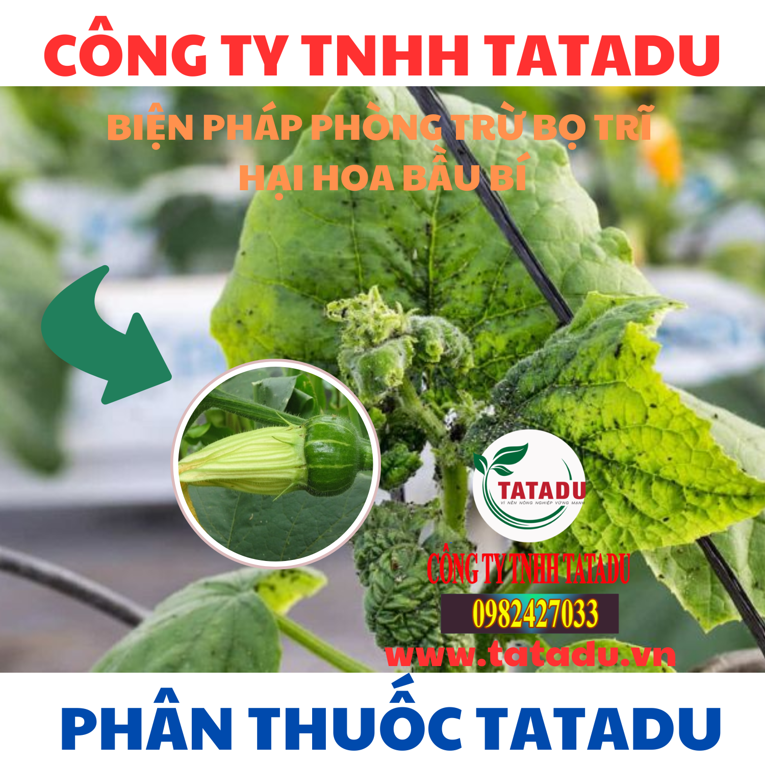 BIEN PHAP PHONG TRU BO TRI HAI HOA BAU BI