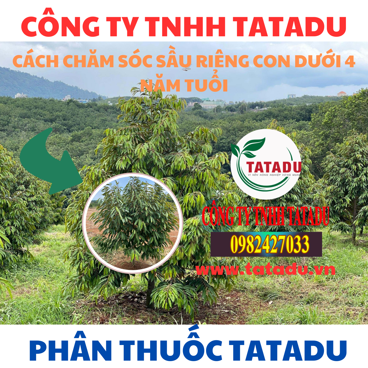 CACH CHAM SOC SAU RIENG CON DUOI 4 NAM TUOI