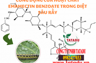 CÔNG DỤNG CỦA HOẠT CHẤT EMAMECTIN BENZOATE TRONG DIỆT SÂU RẦY
