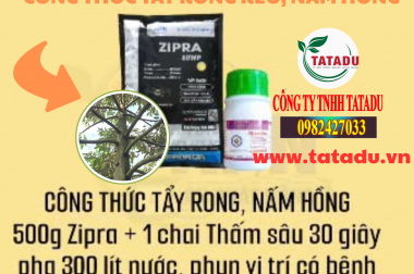 Ý NGHĨA CỦA VIỆC TẨY RONG RÊU CHO CÂY SẦU RIÊNG – APN