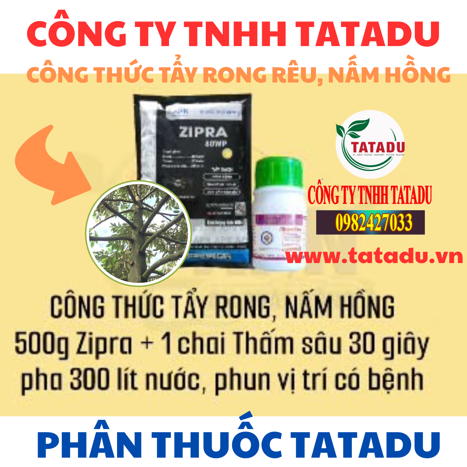 CONG THUC TAY RONG REU NAM HONG APN