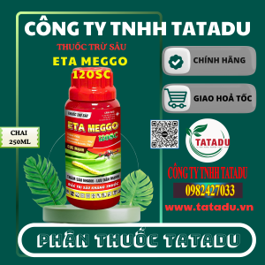 ETA MEGGO 120SC