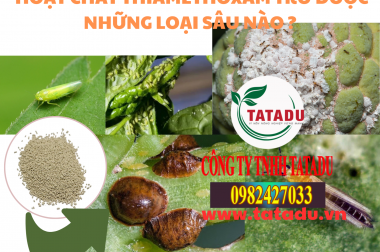 HOẠT CHẤT THIAMETHOXAM TRỪ ĐƯỢC NHỮNG LOẠI SÂU NÀO ?