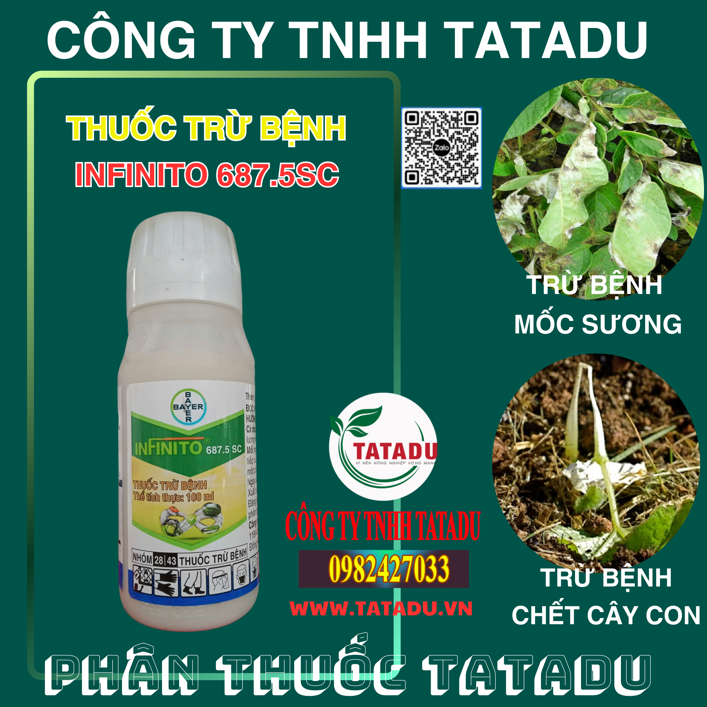 INFINITO 687.5SC DAC TRI BENH MOC SUONG CHET CAY CON INFINITO 687.5SC DAC TRI BENH MOC SUONG CHET CAY CON
