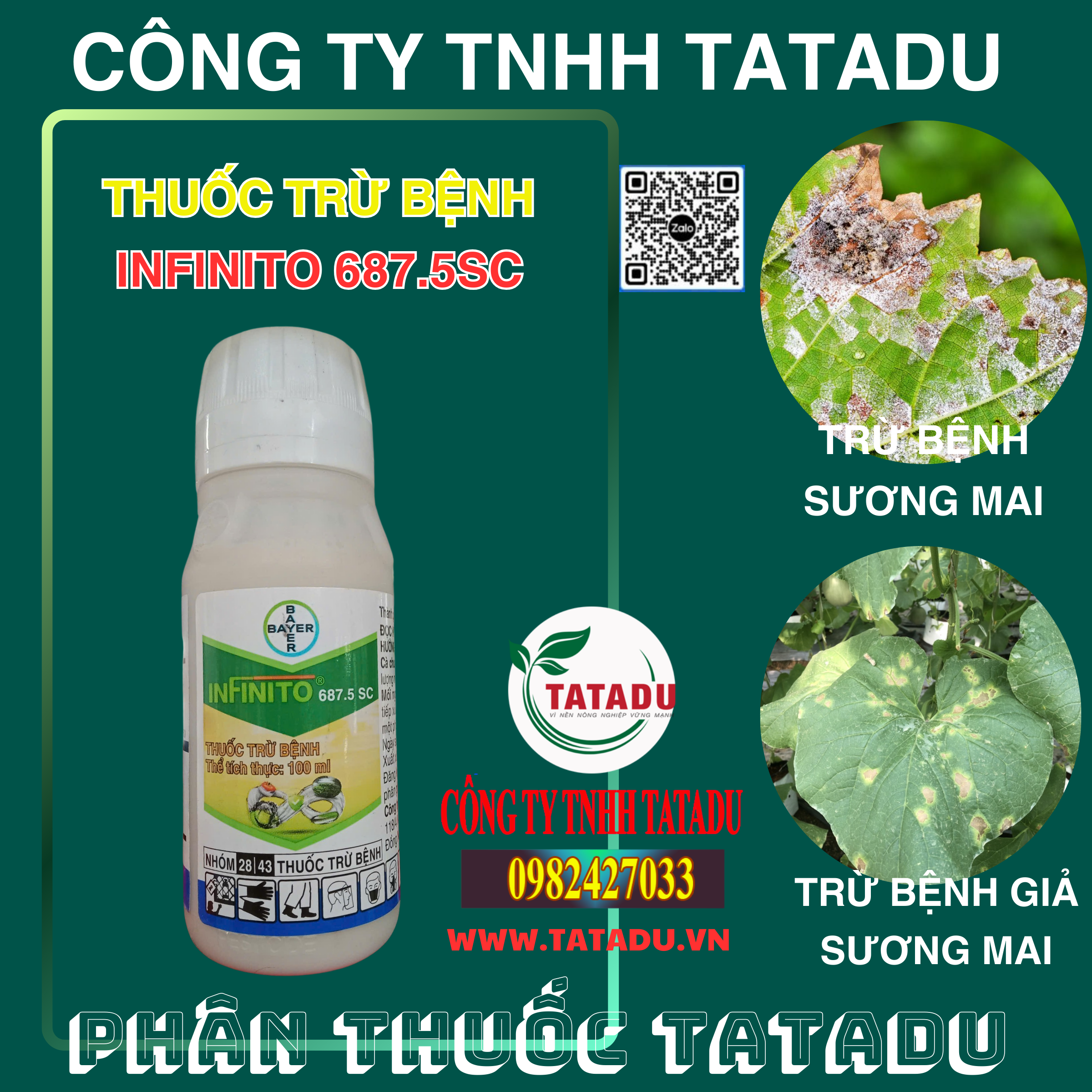 INFINITO 687.5SC DAC TRI BENH SUONG MAI GIA SUONG MAI INFINITO 687.5SC DAC TRI BENH SUONG MAI GIA SUONG MAI