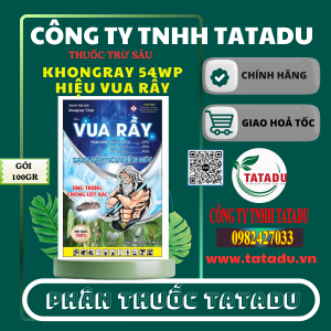 KHONGRAY 54WP HIEU VUA RAY