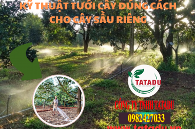Kỹ Thuật Tưới Cây Đúng Cách: Bí Quyết Giữ Đất “Ẩm Mà Không Ướt” Cho Vườn Khỏe Mạnh