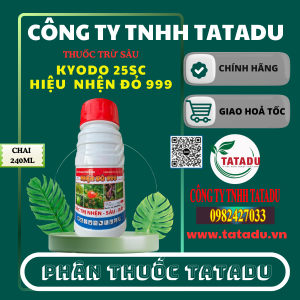 KYODO 25SC HIEU NHEN DO 999