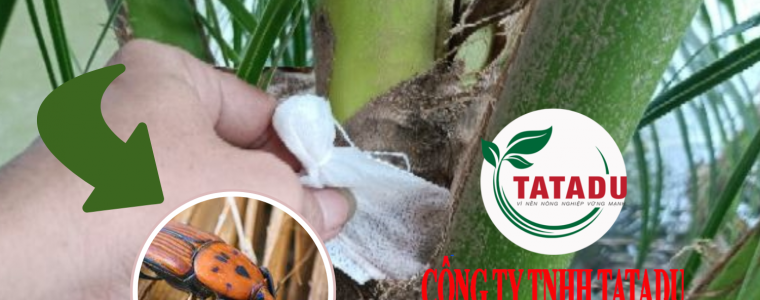 MEO HAY DIET DUONG DUA BO CANH CUNG