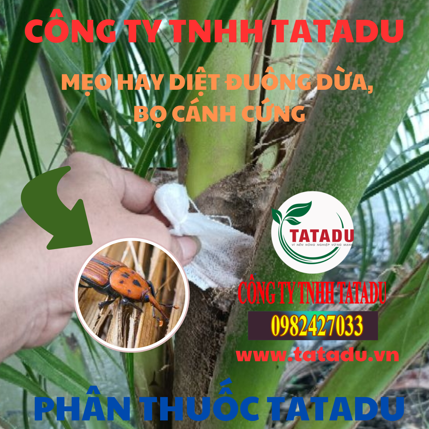 MEO HAY DIET DUONG DUA BO CANH CUNG