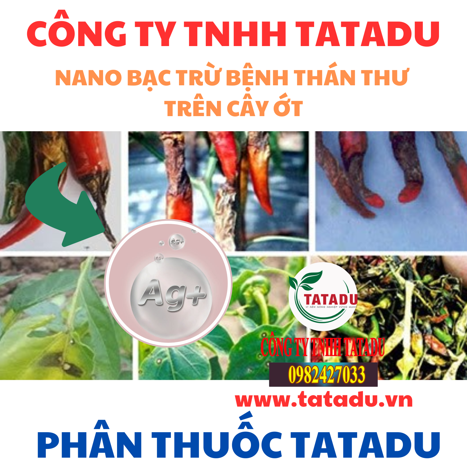 NANO BAC TRU BENH THAN THU TREN CAY OT