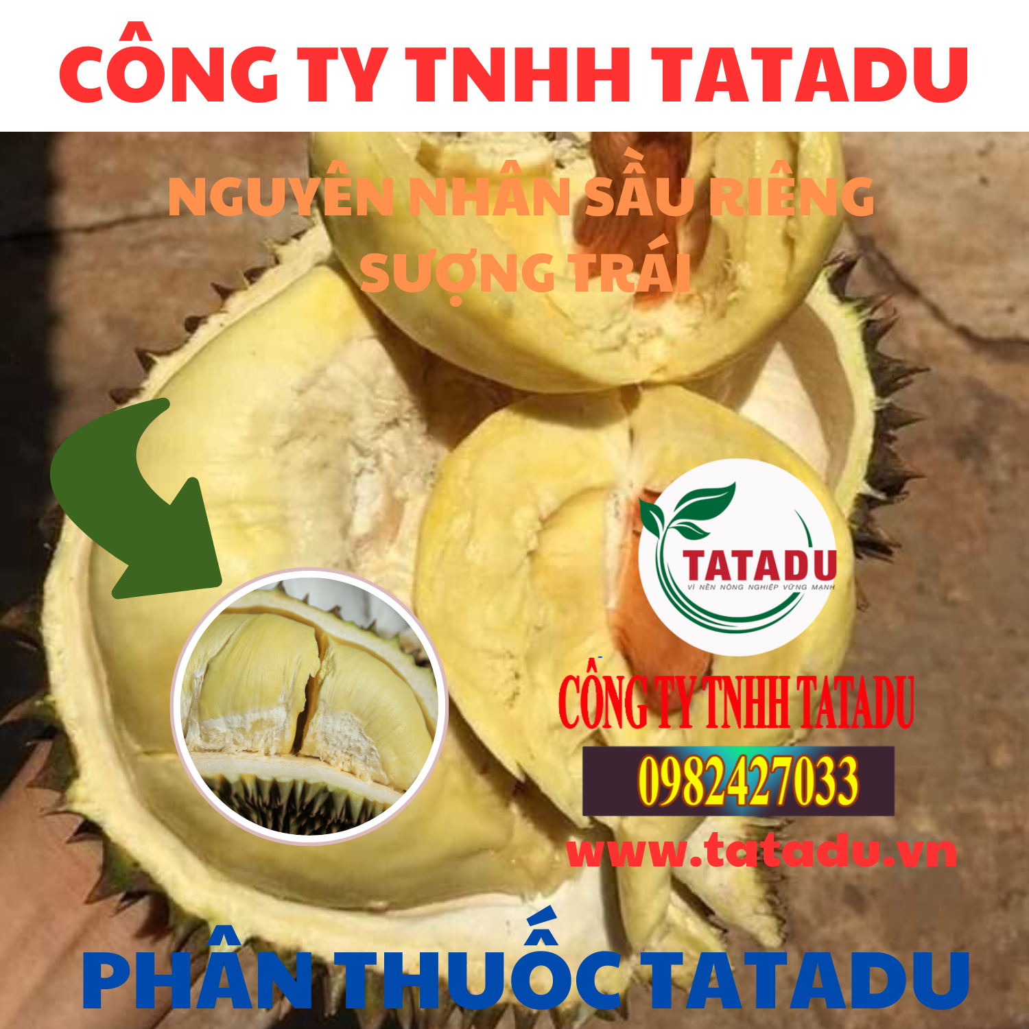 NGUYEN NHAN SAU RIENG SUONG TRAI