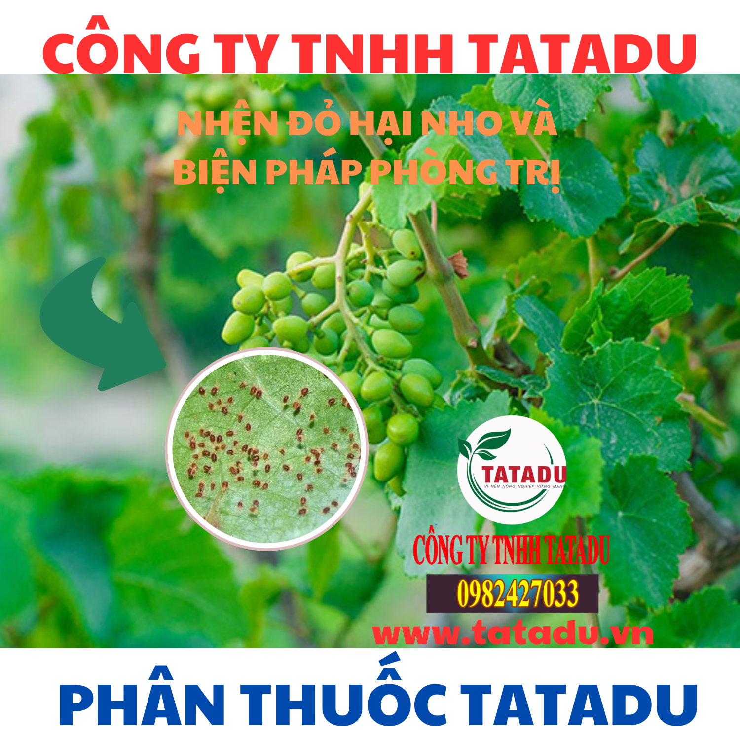 NHEN DO HAI NHO VA BIEN PHAP PHONG TRI